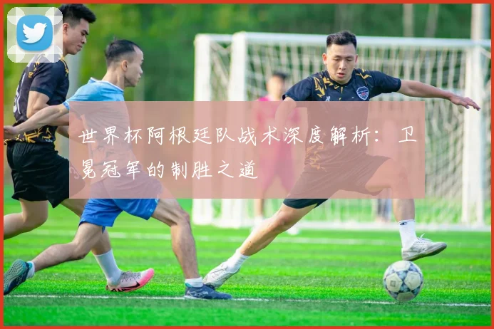 世界杯阿根廷队战术深度解析：卫冕冠军的制胜之道